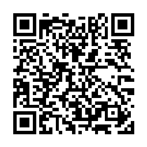 现在外边都传闻张老板收下了洛家少主夫人的信物二维码生成