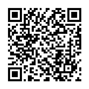 现在夜的实力可是已经达到了八角那里冰尊王的实力了二维码生成
