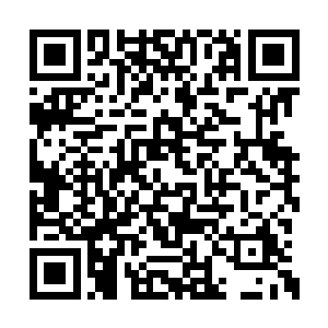 现在大家一致选择来让苏林担任交流经验的角色二维码生成
