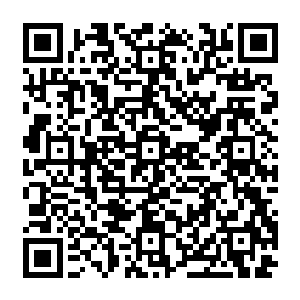 现在大家也早已经对冯雨菲这种对生活当中任何现象进行数学分析的行为见怪不怪了二维码生成