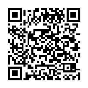 现在大家终于明白为什么夏天这些天都坐在这里不说话了二维码生成