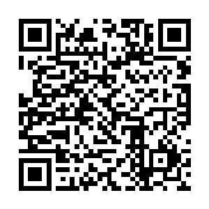 现在大毛因为大二十几天差不多肩高有个四十八厘米二维码生成