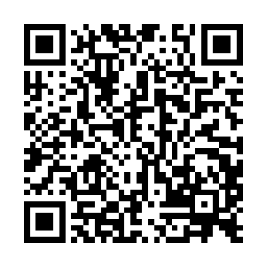 现在太夏这边循着齐老怪这条线索有什么发现没有二维码生成