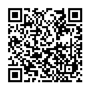 现在太清门量大重量级别的大能争夺自己一个弟子二维码生成