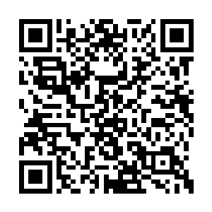 现在她是真的越来越看不懂邵华到底在想什么了二维码生成
