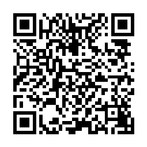 现在她那个哥哥也不用再窝在那个猪圈一样的房子里受罪了二维码生成