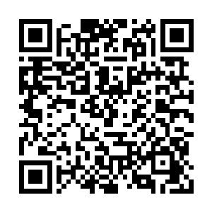 现在好在是其他几个人还没有注意到杨璐的变化二维码生成