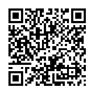 现在宁愿让港口空荡荡的荒废着也没让华国用起来二维码生成