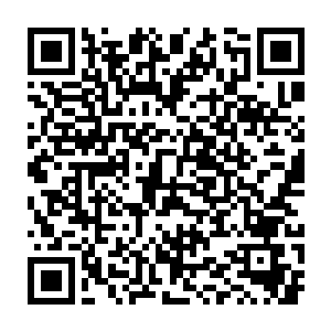 现在安西督护府环康宁兵四州境内的太夏军团的总人数已经将近五亿二维码生成