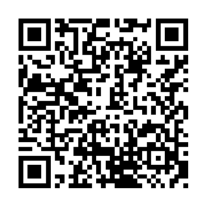 现在完全明白了――他当然更想让我去迪士尼了二维码生成