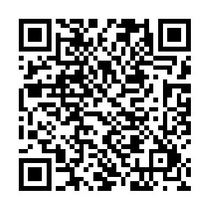 现在对他威胁最大的五个半步地级高手已经伤了四个了二维码生成