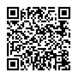 现在对蒋百里的崇拜甚至超过了老师长张一虎了二维码生成