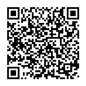 现在小孙女来说大孙女害死了下人……虽然那些下人并不放在他心上二维码生成