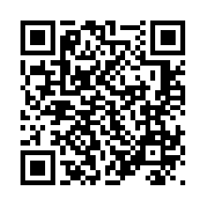 现在小狐狸也估计被装在一个神奇的宝物内二维码生成