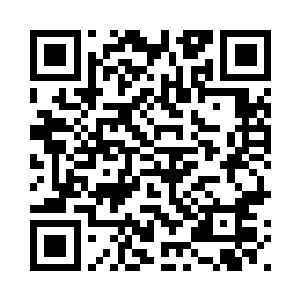 现在就把责任推到我一个人的身上二维码生成