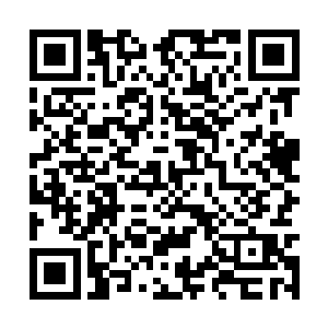 现在就看这一点攻击是否能够弥补上那么一点不足二维码生成