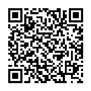 现在就给你们一个机会表达对我的忠诚……哈哈……二维码生成