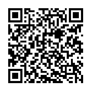 现在就给你观看传奇级别的东西的确不利于你的成长二维码生成