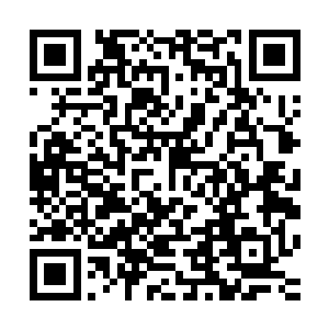 现在就让卫斯理去面对金和丁羽实在是有那么一些过于的早了二维码生成