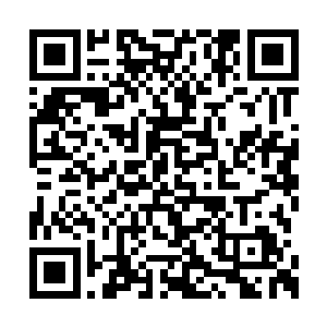 现在就让这邪术随着我和师哥一同魂归地府去吧二维码生成