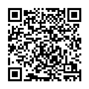 现在就连古武世家之中最强大的西门世家也开始行动了二维码生成