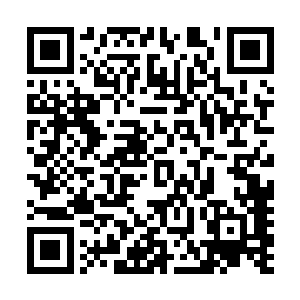 现在就连附近几家的王公大臣家的下人也混在看热闹的人里二维码生成