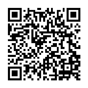现在局面完全反过来了……青珠回去遗忘之地洞天二维码生成