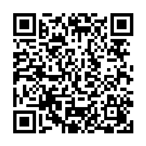 现在山间的霜草不经过清洗肯定没有办法让它们食用二维码生成