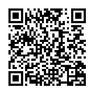现在已经只能遇见最后一辆面包车的金雕们聚在一起二维码生成