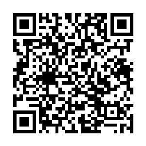 现在已经确定了跟踪星王瞳的两个人就是神卫的人二维码生成