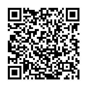 现在平阳王国的要塞处已经集结了超过两百万的士兵二维码生成