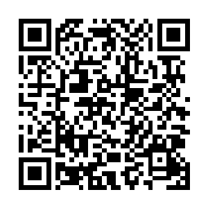 现在广南王府和蛮族骑士之间的纷争刚刚有点平息的样子二维码生成