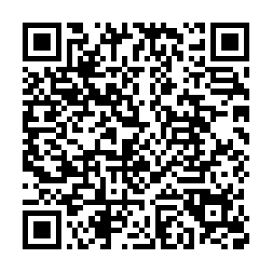 现在应该兼有须弥神虫的某些神通特性和不死吞天虫的全部神通才是二维码生成