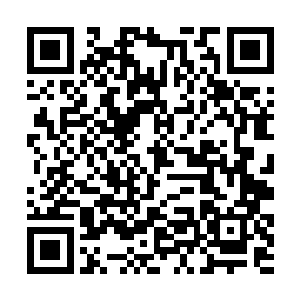 现在应该能安心让我吞噬你的逆天神物和宇宙至宝了二维码生成