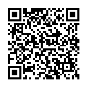 现在彩珠山脉还活动的魔灵基本都被捕捉完毕了二维码生成