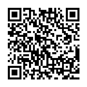 现在很多仙帝中期或者仙帝初期的高手都三五成群的集合在一起二维码生成