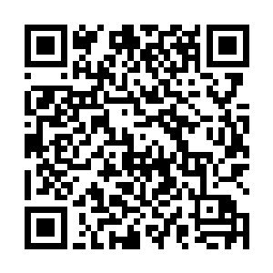 现在怀柔好不容易将柳清浅的十道魂魄都找齐复活了她二维码生成