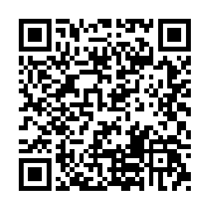 现在恐怖的劫雷已经整整劈了龙傲天三天三夜了二维码生成