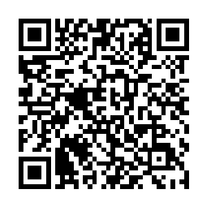 现在想来……那时的你……已经察觉到我的计划了吧二维码生成