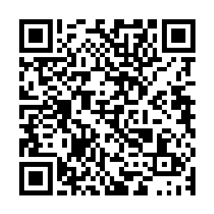 现在想起来家里面的小丫头在某些方面非常的像他们的一位祖母二维码生成