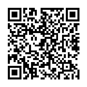 现在我以刀山火海团长的最高权限提出更改我们的出场人选二维码生成