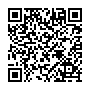 现在我宣布第一届世界海洋节的第一个比赛项目二维码生成