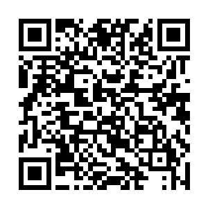 现在我已经成功的激起了殷化一和李稚儿前辈的矛盾二维码生成