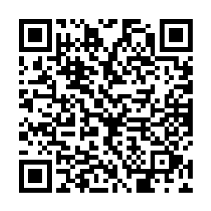 现在我手下的这些人处理这方面的事情并没有多少经验二维码生成