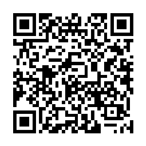 现在我明白为什么那头碧鳞鬼鲛之王能够提升至六级巅峰二维码生成