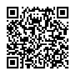 现在我炼制的这颗丹药能够支持挥发半年的时间二维码生成