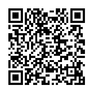 现在我的天地贝中还有一些对生长环境要求极高的植株二维码生成