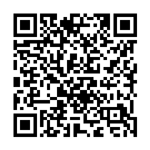 现在我的女儿和女婿都已经被我派过去对付那些变异生物二维码生成