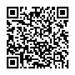 现在我眼前的家伙……究竟是卢卡尔和豪鬼的合体人二维码生成