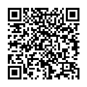 现在所有的人都在迫不及待想要进入龙墓之中寻找龙之血脉二维码生成